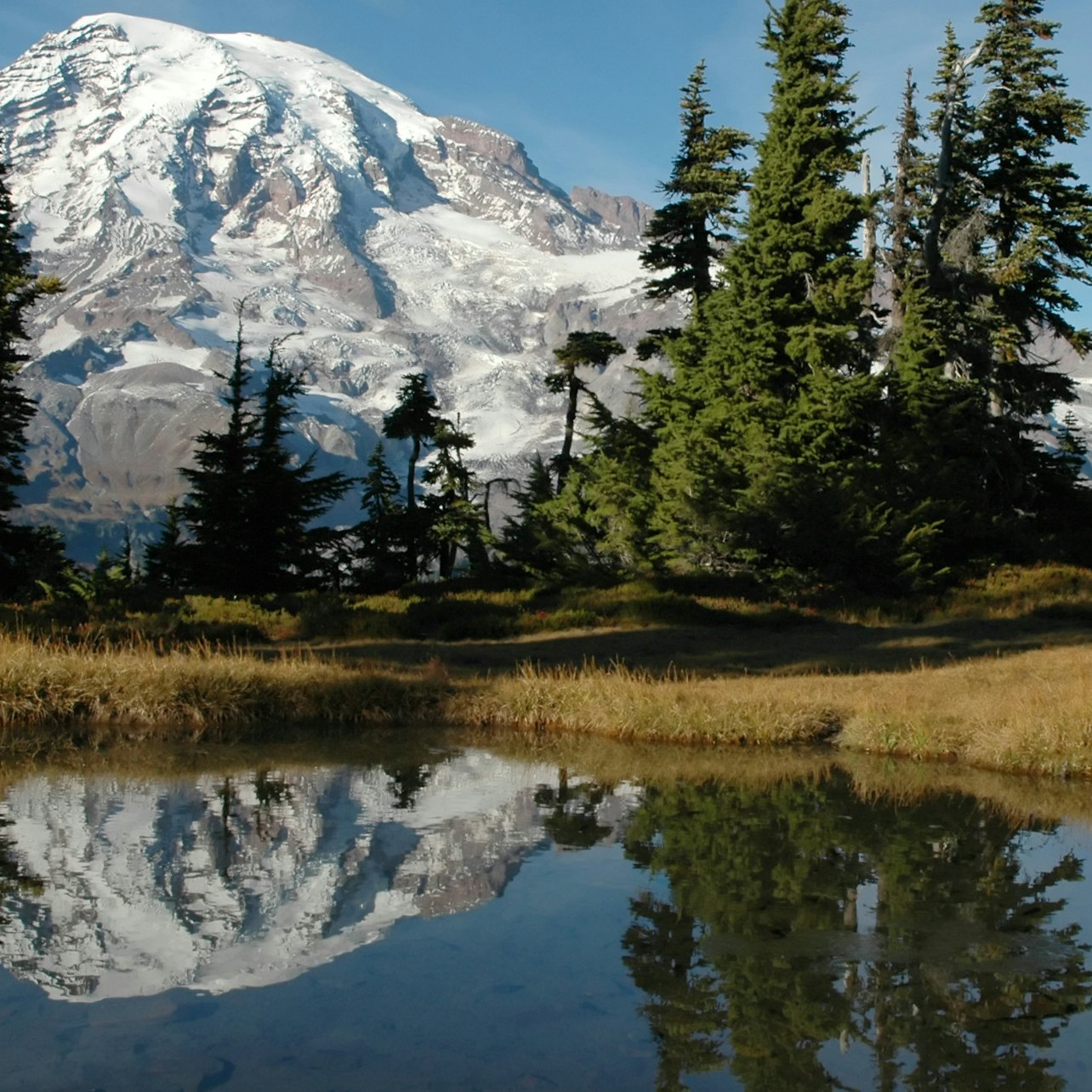 Mt. Rainier: All-Inclusive Small-Group Day Trip from Seattle - Photo 1 of 5